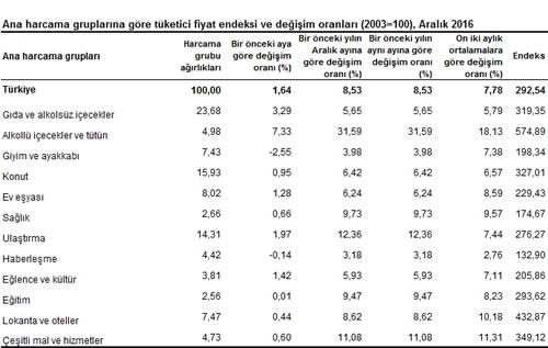 tufe-aralik-2016-ana-harcama-gruplari-tuik-gidahatti