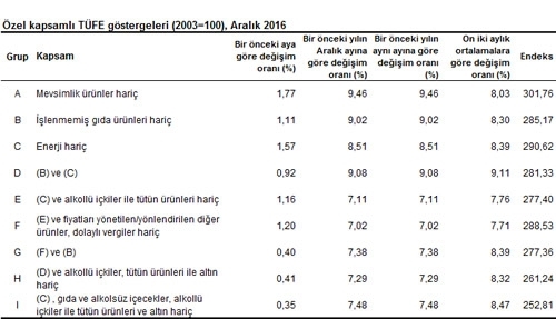 tufe-aralik-2016-ozel-kapsam-tuik-gidahatti