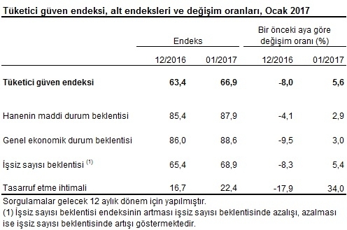 tuketici-guven-kalemler-ocak-2017-tuik-gidahatti