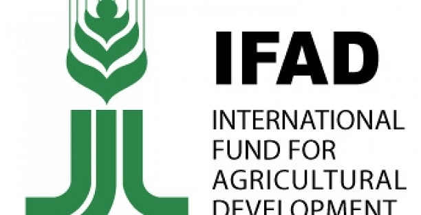 ifad-logo-gidahatti