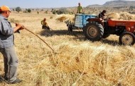 Tarımda üretici fiyatları düşüşte!