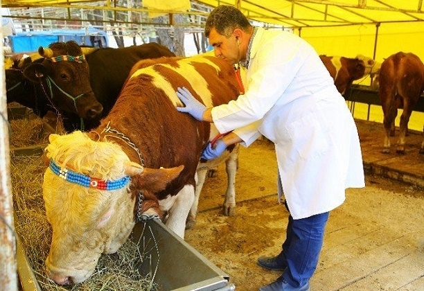 Veteriner ürünleri için yeni düzenleme