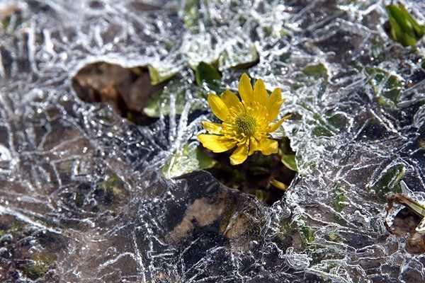 Dikkat! Meteoroloji zirai don uyarısı yaptı