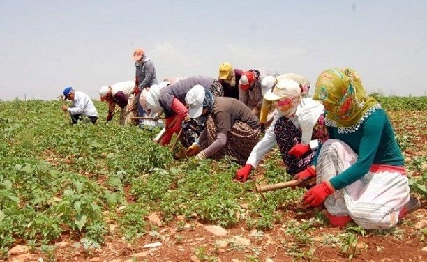 İşsizlikte son 14 ayın en düşük oranı!